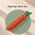 Dog Rope Chew Toy