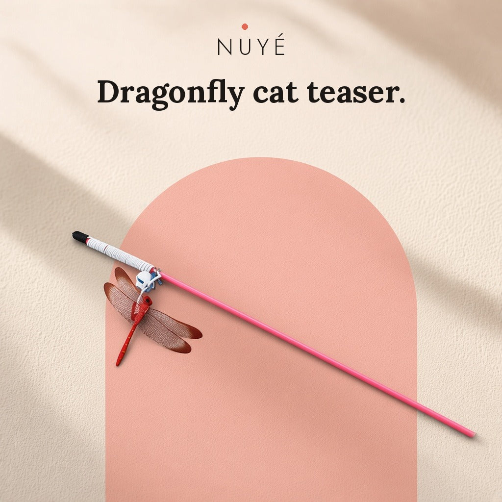 Dragonfly Cat Teaser