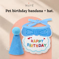 Pet Birthday Bandana & Hat Set
