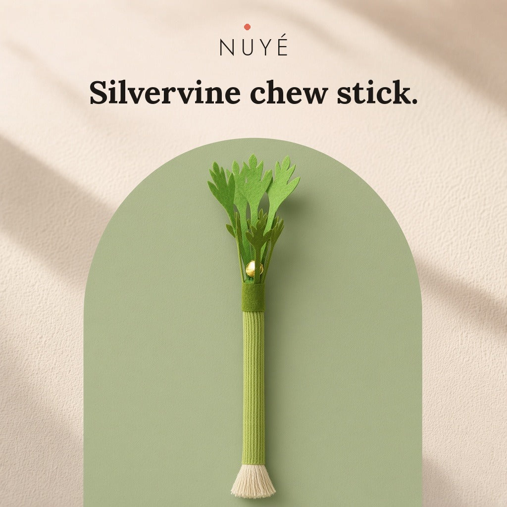 Silvervine Chew Stick