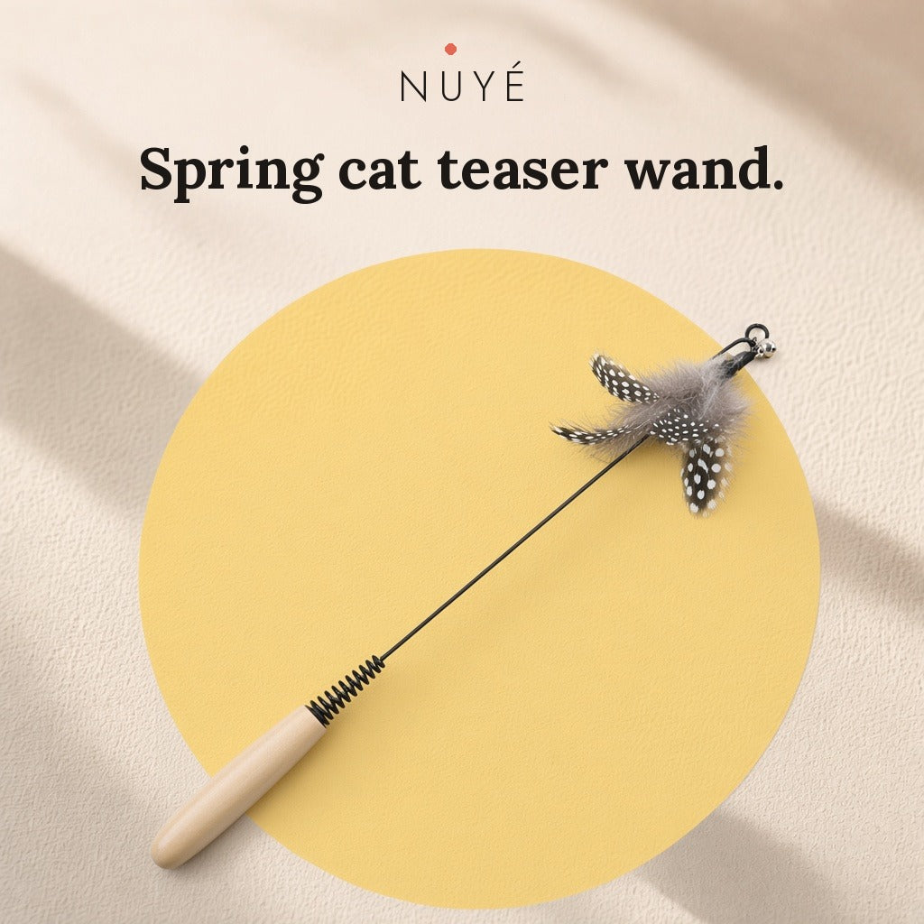 Spring Cat Teaser Wand