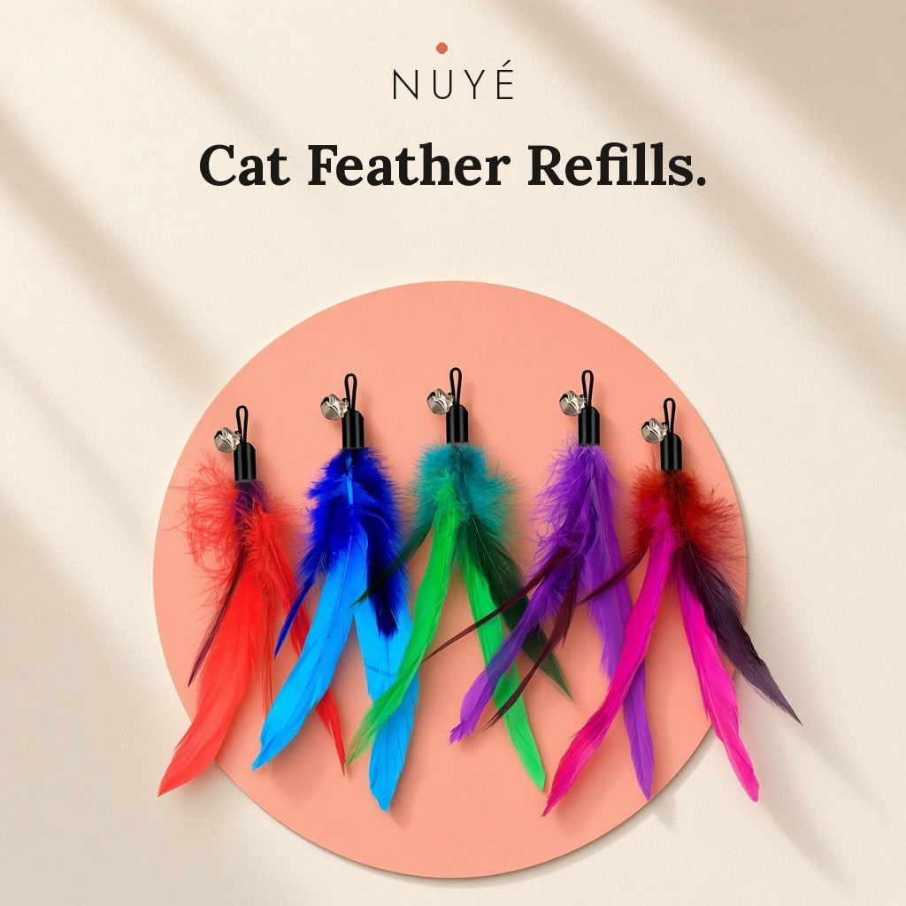 Cat Feather Teaser Refills – 5 Pack