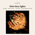Mini Warm White Fairy Lights – 10 Pack