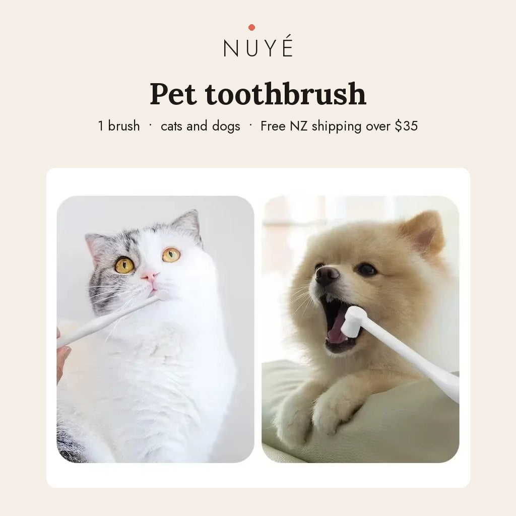 Round Head Pet Toothbrush